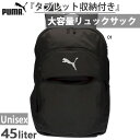 45L プーマ メンズ レディース チームファイナル teamFINAL バックパック リュックサック デイパック バッグ 鞄 ブラック 黒 送料無料 PUMA...