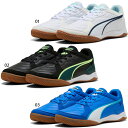 プーマ メンズ プレッシング IV フットサルシューズ インドア 室内用 ブルー 青 送料無料 PUMA 108570