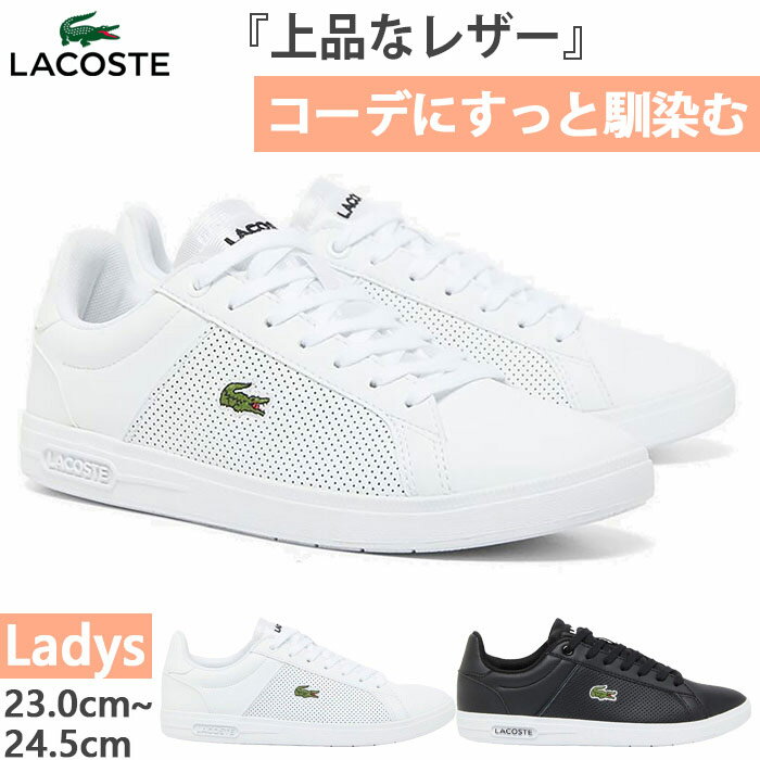 楽天市場】ラコステ スニーカー レディース（靴）の通販