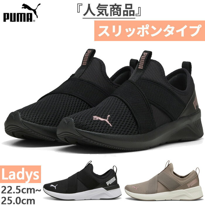 あきた puma-10910.jpg