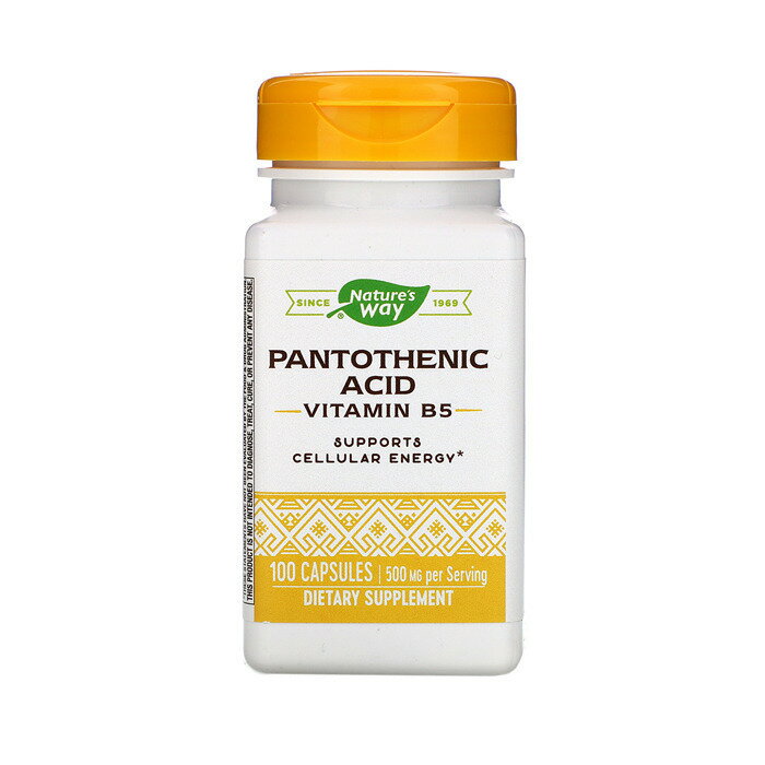 ѥȥƥ ӥߥB5 250mg 100γ ץ 򹯥ץ ץ ѥȥƥ ͥ㡼   ꥫ ץ ӥߥB 5 Nature's Way Pantothenic Acid, 100 Caps 250 mg