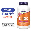 ビタミン B-100 250粒 ナウフーズ ビタミンB群 ベースサプリ　サプリメント びたみん　B【Now Foods B-100 250 Veg Capsules】