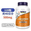 L-オルニチン 500mg ベジカプセル 120粒 サプリメント アミノ酸 L-オルニチン【Now Foods L-Ornithine 500mg, 120 Veg Capsules】