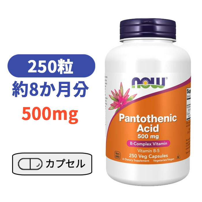 パントテン酸 500mg 250カプセル ナウフーズ びたみん ビタミン サプリ サプリメン【Now Foods Pantothenic Acid 500…