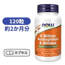 8 rI AVhtBX  rtBYX 120 iE iEt[Y Tvg AJTv voCIeBNX 80 ~bNX AVhtBX  rtBYX Now Foods 8Billion Acidophilus Bifidus 