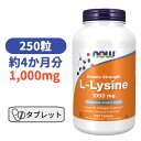 L-リジン 1,000mg 250粒 サプリメント アミノ酸 リジン【Now Foods Double Strength L-Lysine 1000mg 250 tablets】