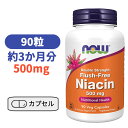 ダブルストレングス フラッシュフリー ナイアシン 500mg 90粒 成分2倍 ビタミンB群 イノシトール お酒 神経 皮膚 脂質代謝 健康サプリ ビタミン びたみん サプリ【Now Foods Double Strength Flush Free Niacin】