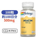 ソラレー ナイアシン サプリメント 500mg 100粒 サプリメント ビタミン ミネラル ビタミンB ナイアシン(ビタミンB3)　