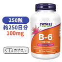 ビタミン B-6 100 mg 250 粒 ナウフーズ びたみん B サプリメント サプリ スキンケア マッスルケアー【Now Foods B-6 100mg, 250 Veg Capsules】