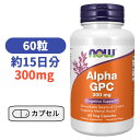 アルファ GPC 300mg 60粒 ナウフーズ 【Now Foods Alpha GPC 300mg 60 Veg Capsules】