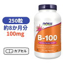 ビタミン B-100 250粒 ナウフーズ ビタミンB群 ベースサプリ サプリメント びたみん B【Now Foods B-100 250 Veg Capsules】