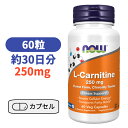 L カルニチン 250mg 60粒 サプリメント アミノ酸 L-カルニチン【Now Foods L-Carnitine 250mg 60 Veg Capsules】