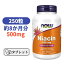 ʥ 500mg 250֥å ʥա ӤߤB ץ ץ ɬܥӥߥ󤪼򹥤 󥿥륱Now FoodsNiacin 250 Tabs 500 mg
