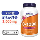 ビタミンC - 1000 with ローズヒップ タイムリリース 1000mg 250粒 ナウフーズ びたみんC ビタミン【Now Foods C-1000】