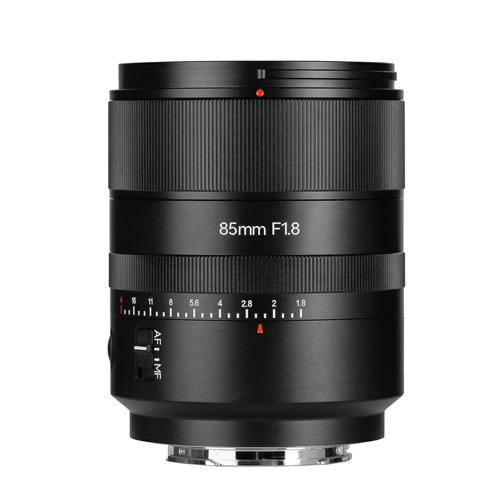 DSZT-44 実体顕微鏡 ヘッド MS4603 1個