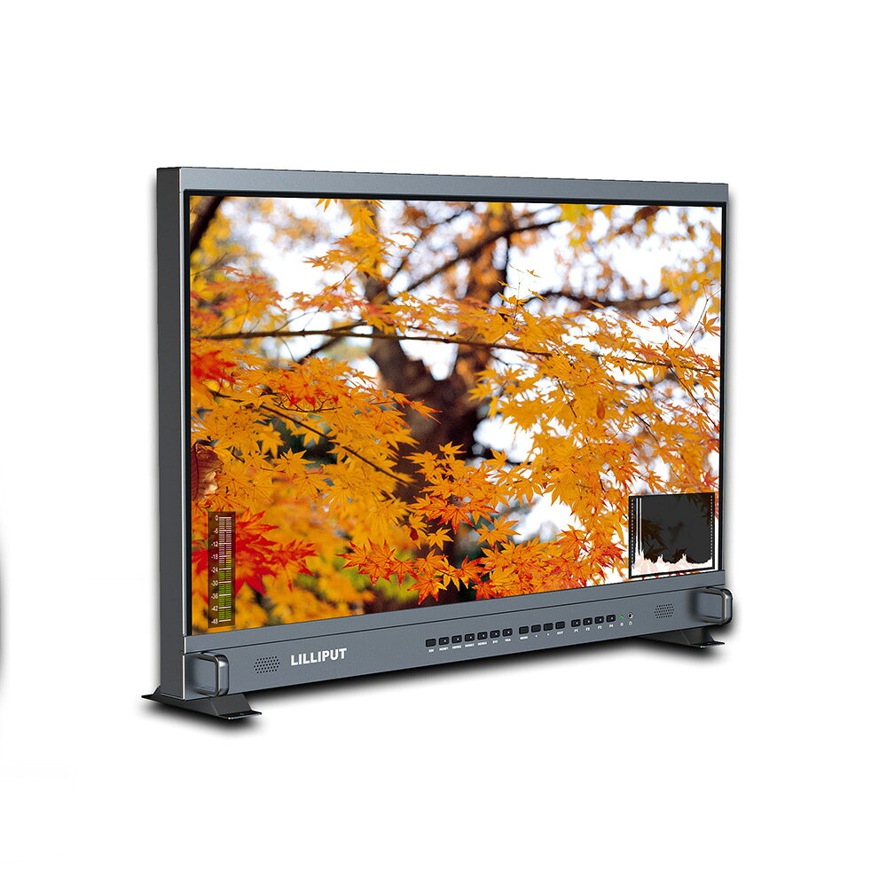 LILLIPUT BM310-4KS 31.5インチ 4K フルHD 放送/監督用モニター 3840×2160解像度 3...