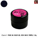 【最大300円クーポン】【3,980円〜送料無料】【在庫限り】美容雑貨 ネイル CanI FOCUS MA COLOR GEL #534 BASIC PURPU...