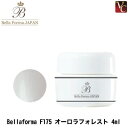 【最大300円クーポン】ジューク Bellaforma F175 オーロラフォレスト《ベラフォーマ ネイル ジェル ジェルネイル カラージェル》