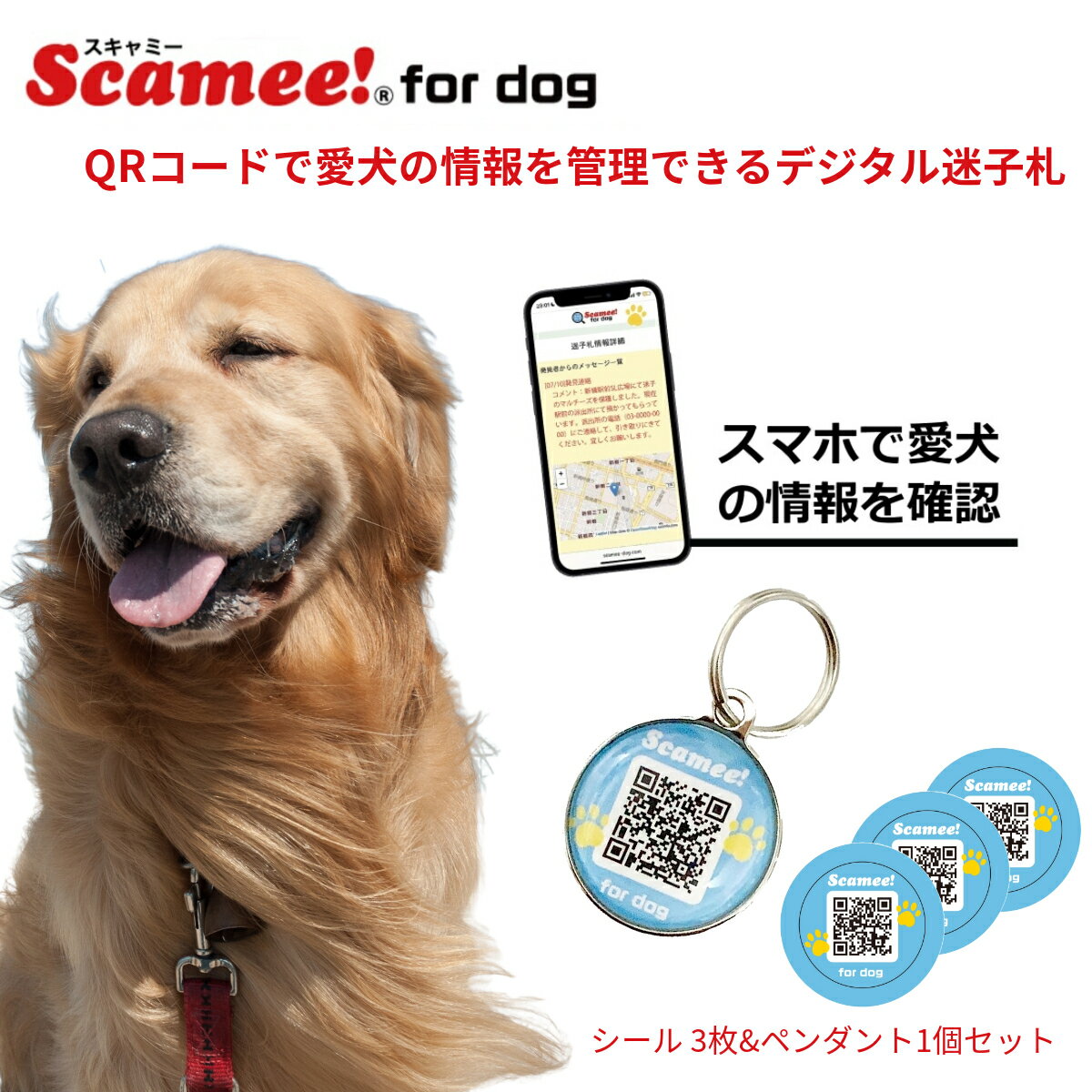 ڥߡScamee! for dog 3+ڥ1ĥå ΤΥǡǼQR»һ ڥå