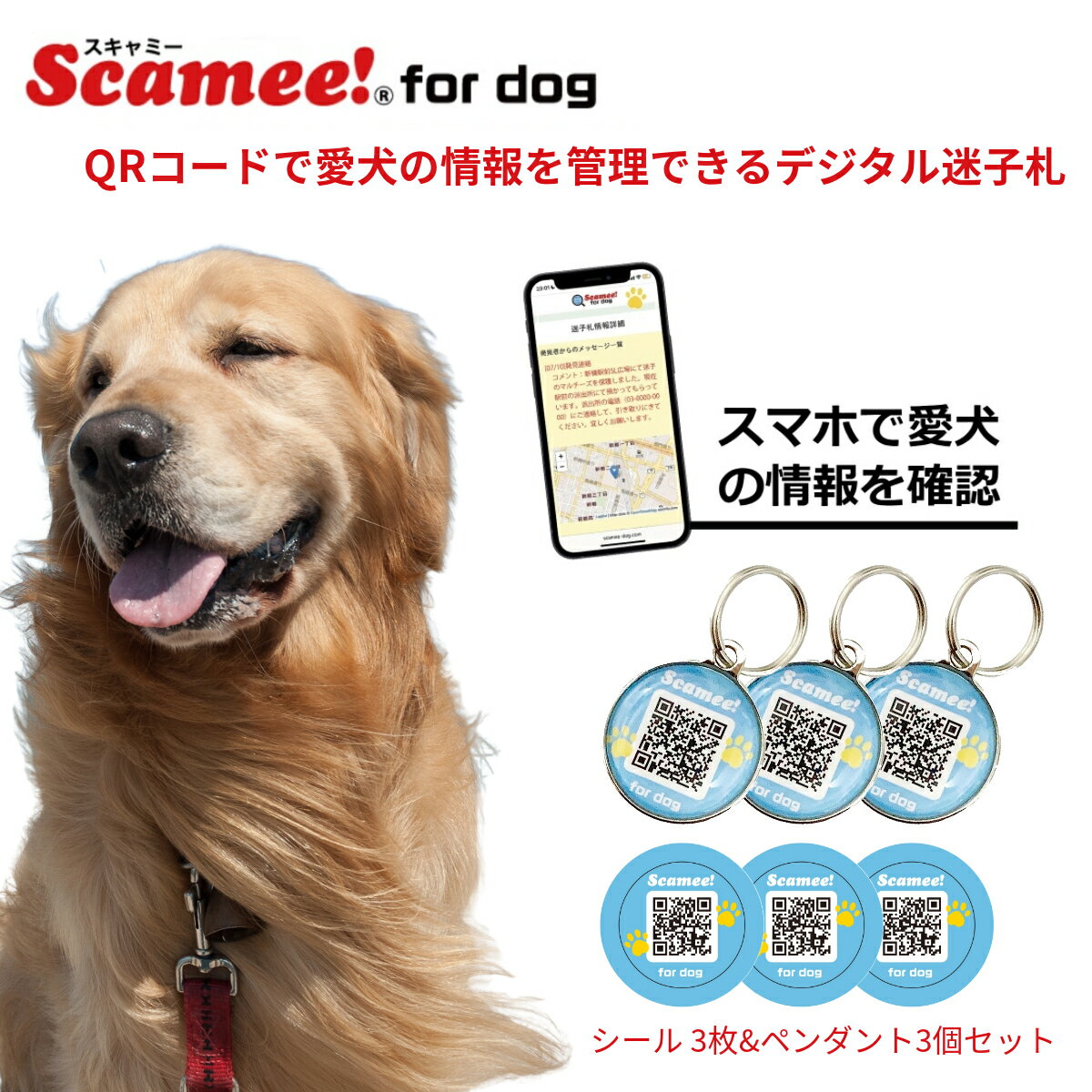 ڥߡScamee! for dog 3+ڥ3ĥå ΤΥǡǼQR»һڥå