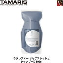 yő300~N[|zy3,980~`zyy13܂Łzw~3x ^}X NA I[ NZQtbV Vv[ K 600ml lւp slߑւ shampoo e Tꔄi  Vv[t