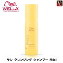 yő300~N[|zy3,980~`zyy13܂Łzw~2x EG vtFbViPA T Vv[ 250ml sWELLA EG e Vv[ eꔄ Tꔄi shampoo EG Vv[t