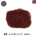 【最大300円クーポン】【3,980円〜送料無料】美容雑貨3 ヘア小物 坂清 レインボートップ シルバー《ヘアートップ カラートップ 毛たぼ すき毛 けたぼ あ...
