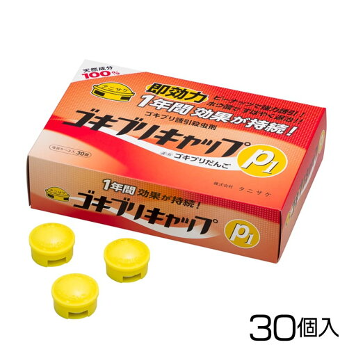 ゴキブリキャップP1(30個入)《05006138》【誘引殺虫剤 夏 害虫 ホウ酸 タマネギ 駆除 虫】 ゴキブリキャップP1(30個入)《05006138》【誘引殺虫剤 夏 害虫 ホウ酸 タマネギ 駆除 虫】