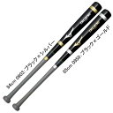 ミズノ MIZUNO 木製打撃可トレーニングバット 野球 トレーニング バット 練習 冬トレ 25SS(1CJWT251)