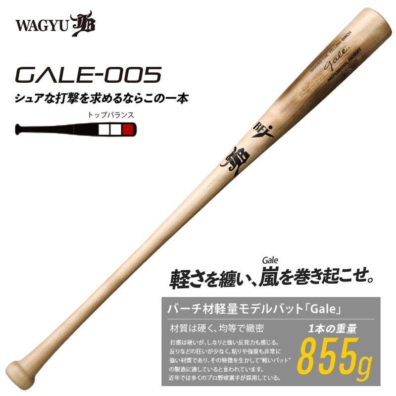 aJB o[`ލdؐobg (Gale) 싅 dؐobg (wd Z wЉl ) 22FW(GALE005)