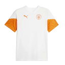PUMA(プーマ) MCFC マンチェスター シティFC 2023-24 トレーニング シャツ サッカー ウェア レプリカ 24SS(772855-19)(4)