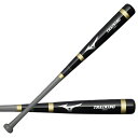 ミズノ MIZUNO 木製打撃可トレーニングバット 野球 トレーニング バット 練習 冬トレ 25SS(1CJWT251)