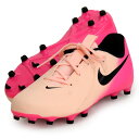 ナイキ NIKE ジュニア ファントム GX 2 アカデミー FG/MG ジュニア サッカースパイク 25SU (FD6722-800)