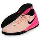 ナイキ NIKE ファントム GX 2 アカデミー IC フットサルシューズ 25SU (FJ2581-800)