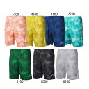 フィンタ FINTA GDZ グラフィック パンツ サッカー フットサル ウェア ハーフパンツ 25SS (FT4411)