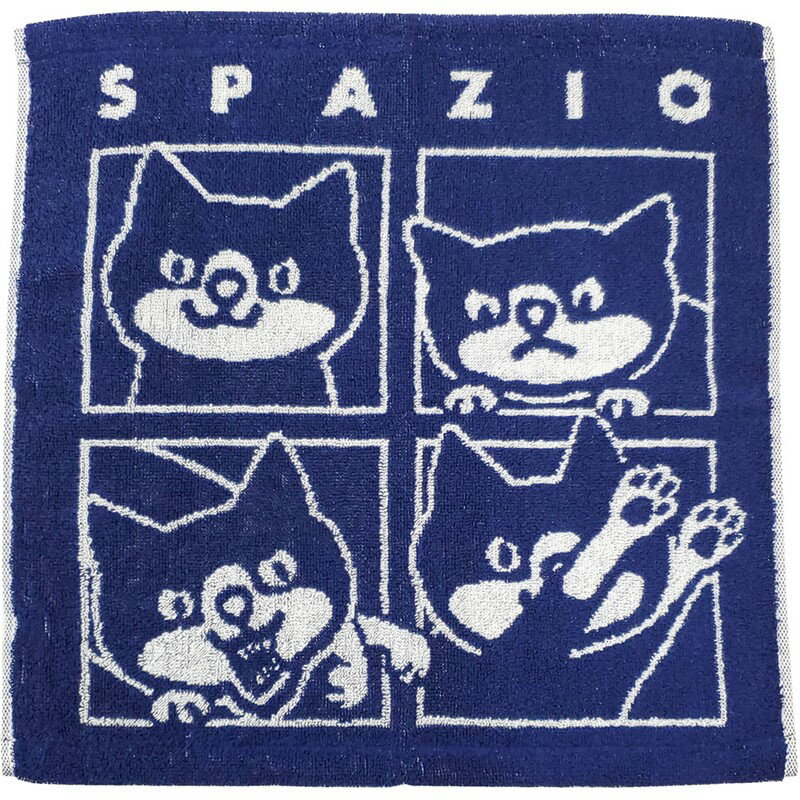 spazio(スパッツィオ)ピッポクンハンドタオル5フットサルタオル(ac0136-21)