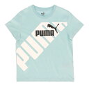 PUMA(v[})PUMA POWER OtBbN TVcX|[cX^CEFATVc681404