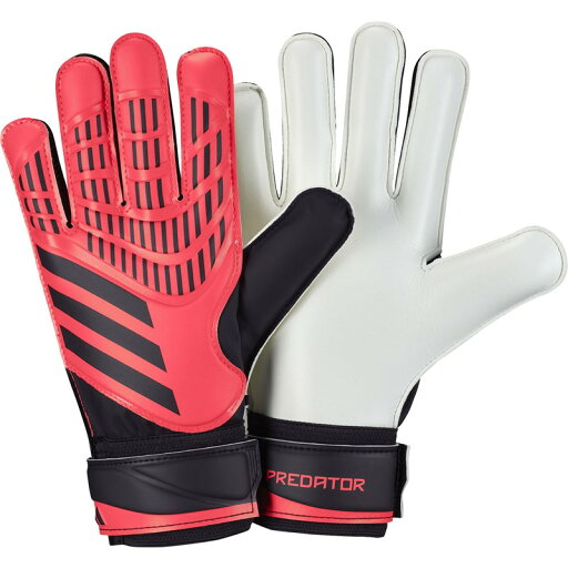adidas(アディダス)43 PDGKグローブトレーニングサッカー ゴールキーパーグローブ 手袋(jtj64-ix3871) adidas(アディダス)43 PDGKグローブトレーニングサッカー ゴールキーパーグローブ 手袋(jtj64-ix3871)