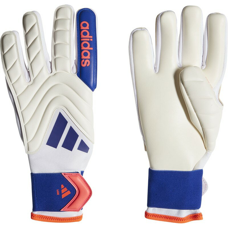adidas(アディダス)43 コパGKグローブリーグサッカー ゴールキーパーグローブ 手袋24FW (JTJ49-IX3832)
