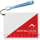 NICHIYO(ニチヨー)GBスケールカードタイプレクレーション グッズ その他(gbs-r)(4)