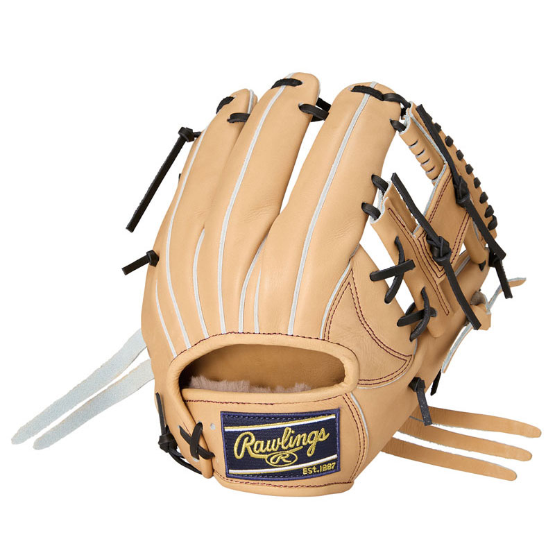 ローリングス Rawlings硬式 HOH プレミアム N6X ACAM硬式用グローブ グラブ 25SSGH5HPN6X