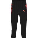 PUMA プーマINDIVIDUALCUP TR パンツサッカー トレーニングパンツメンズ660201-07