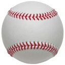 ミズノ MIZUNOサイン用ボール(硬式ボールサイズ)野球 チーム用品/グッズ サインボール/色紙(1GJYB13300)