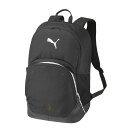 PUMA(プーマ)TEAMFINAL バックパック2 45Lサッカーバッグ・ケースデイパック・ザック091600
