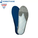 ミズノ MIZUNODSISソルボサッカージュニアJR サッカー インソール 中敷キ18SS (61095 6 7 8)