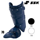 エスエスケイ SSKフットガード(左打者用)プロテクター13ss(FG100R)