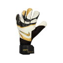 NIKE(iCL)iCL GK GRP3TbJ[Z܃L[p[FB2998