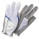 ミズノ MIZUNOUV手袋(両手)(グラウンド・ゴルフ) (27ホワイト×ブルー)スポーツ グラウンド・ゴルフ 手袋(C3JGP002)