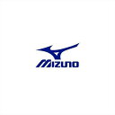 ミズノ MIZUNO取り替え用マスクパッド (上側/野球)野球 捕手用防具 捕手用アクセサリー(1DJYQ230)