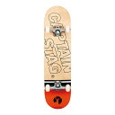 CAPTAIN STAG(キャプテンスタッグ)スケートボード PD-14スポーツ(UX2638)